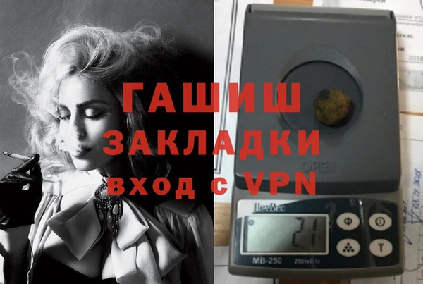 шишки Дмитриев