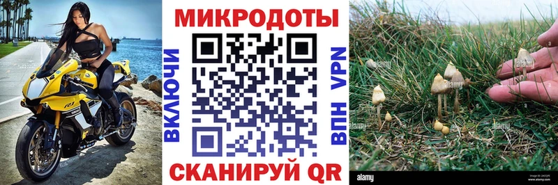Псилоцибиновые грибы MAGIC MUSHROOMS  Котовск