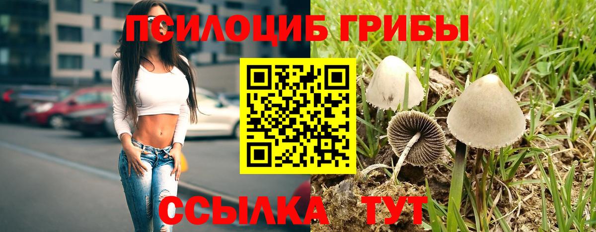 Псилоцибиновые грибы мицелий Котовск