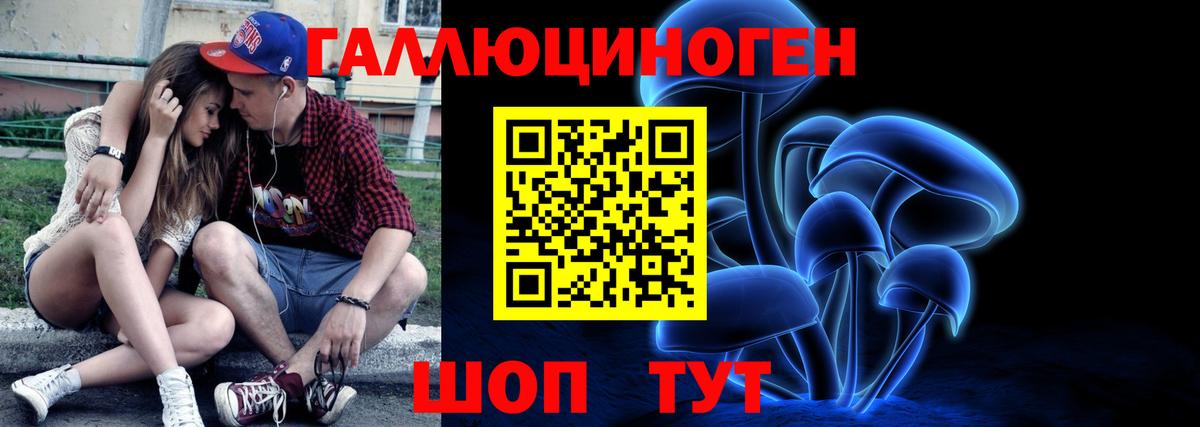 сколько стоит  Котовск  Галлюциногенные грибы Psilocybine cubensis 